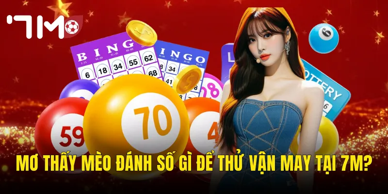 Mơ Thấy Mèo Đánh Số Gì – Giải Mã Giấc Mơ Và Bí Kíp Chọn Số Tại 7m 3 Mơ Thấy Mèo Đánh Số Gì Để Thử Vận May Tại 7m?